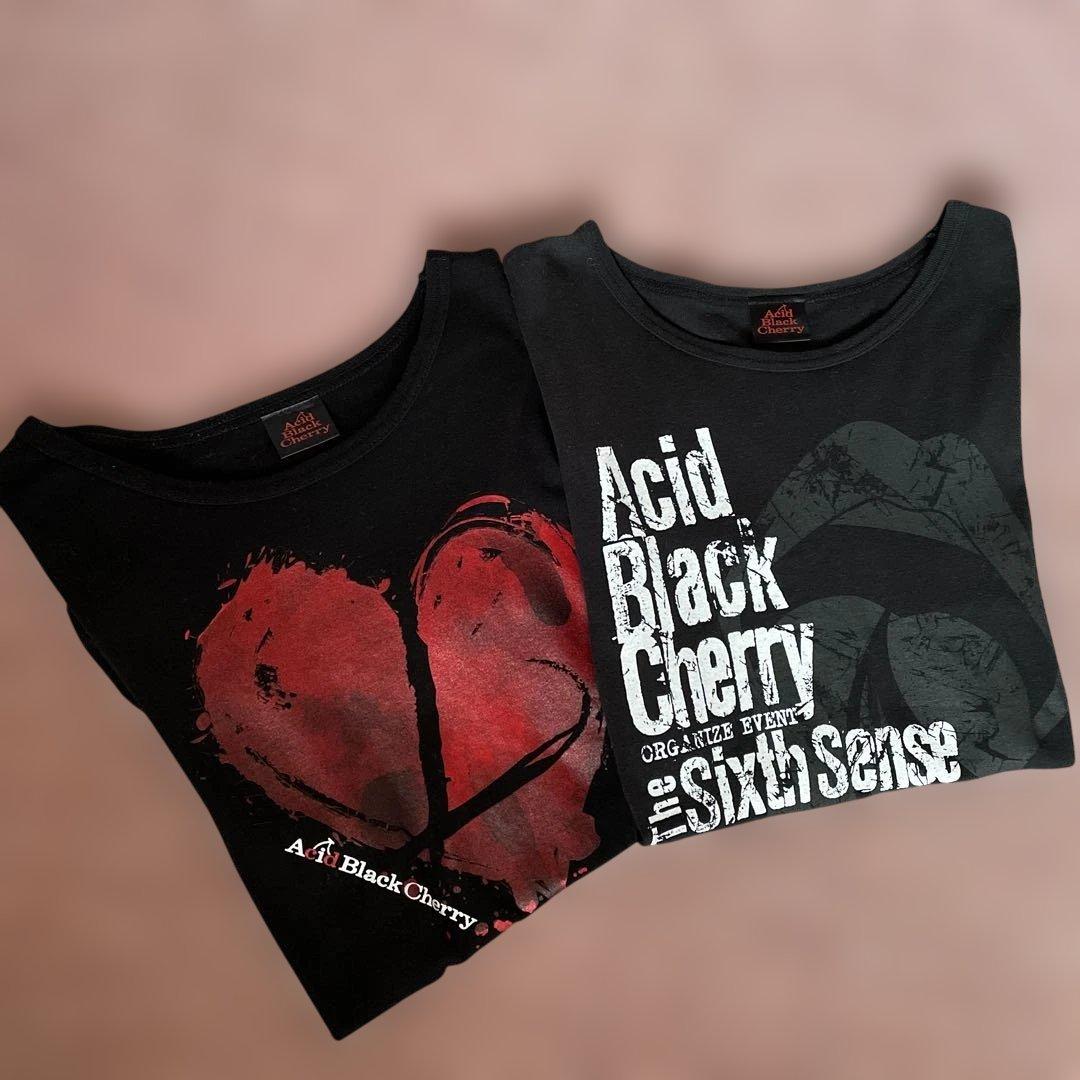 Acid Black CherryツアーTシャツ2枚セット