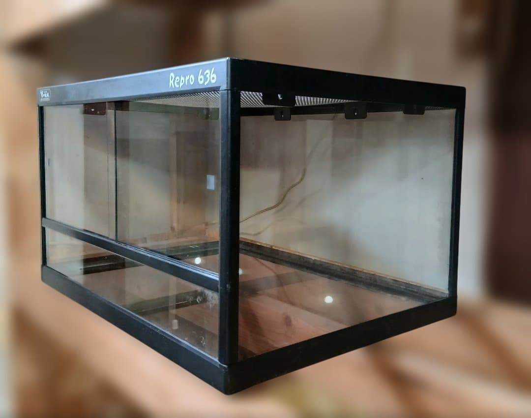 Repro 636 ガラスケージ 60×45×36 発送OK