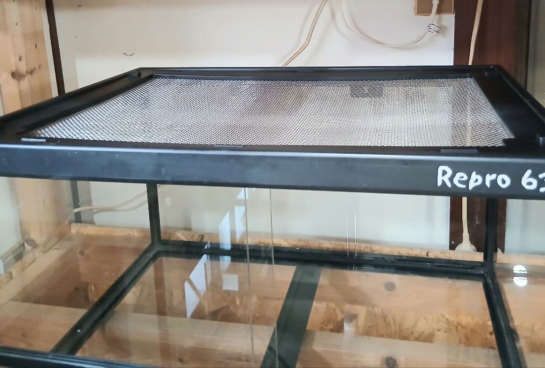 Repro 636 ガラスケージ 60×45×36 発送OK