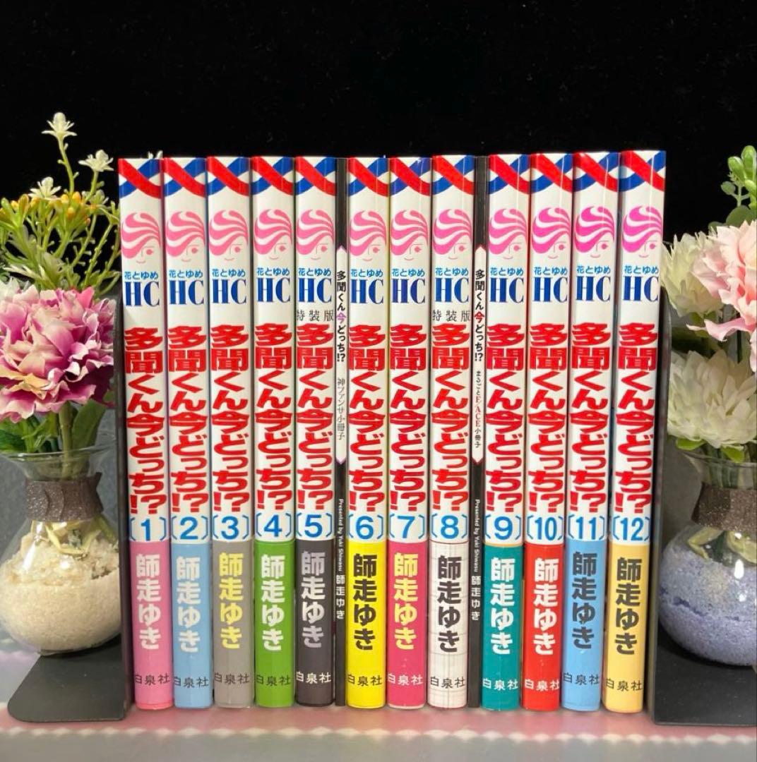 ☆全巻初版帯付き☆ 多聞くん今どっち⁉︎ 1〜12巻 全巻 特装版 小冊子付き