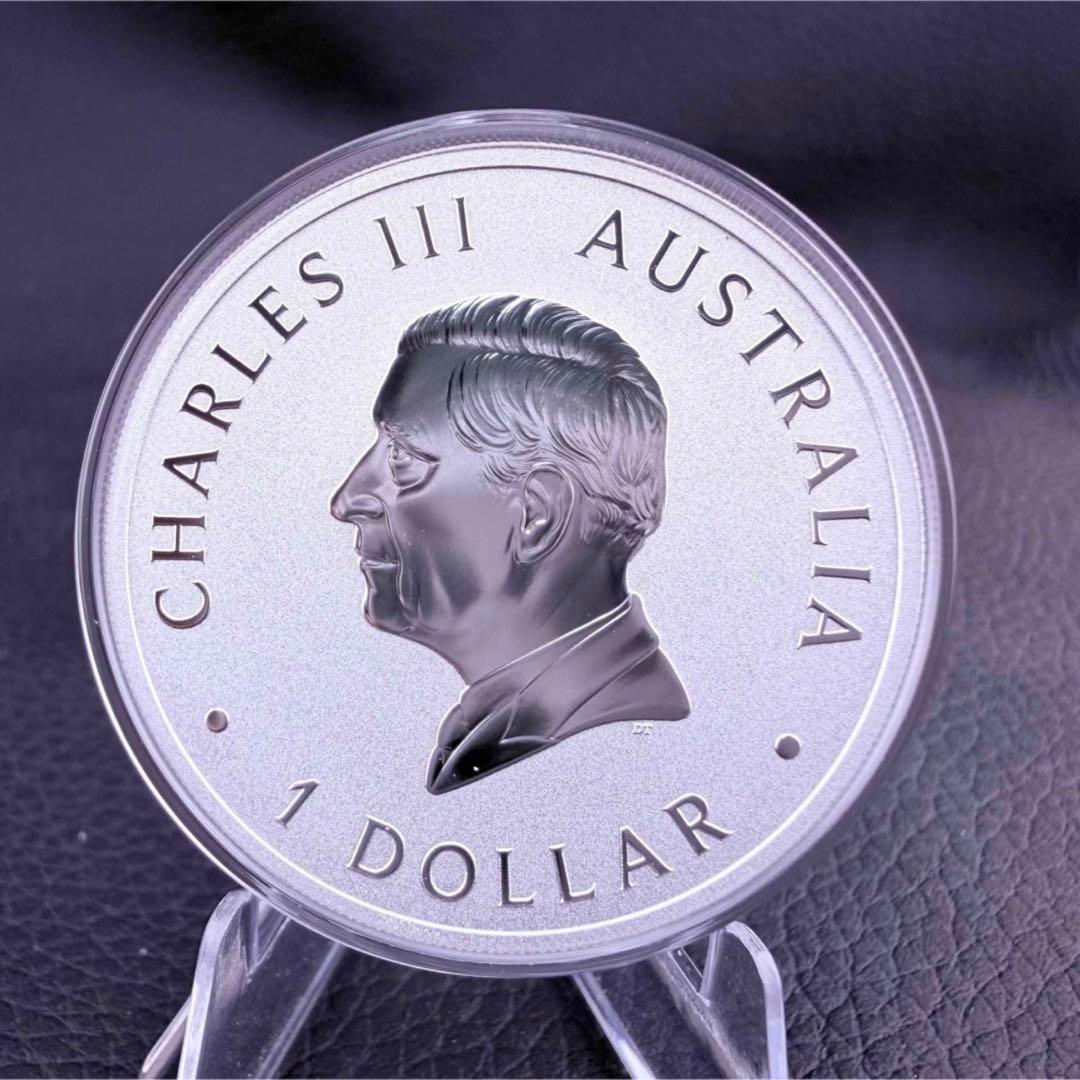 銀貨 ブランビー 野生馬 カラー プルーフ 純銀 保証書 1500枚限定