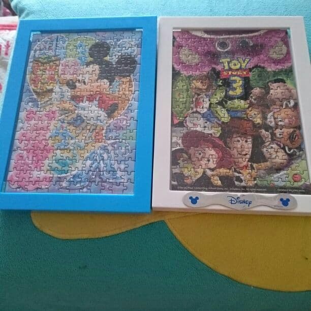 パズル(完成品)