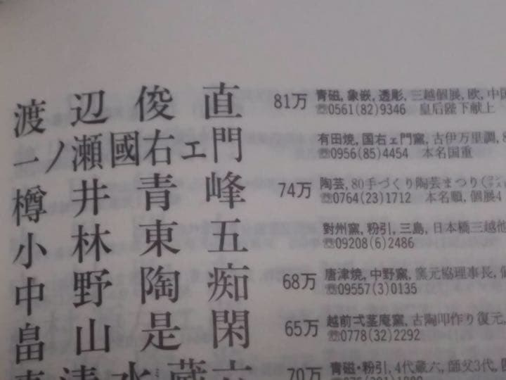 耀光天目茶碗　渡辺俊直☆共箱☆説明書・おまけ付