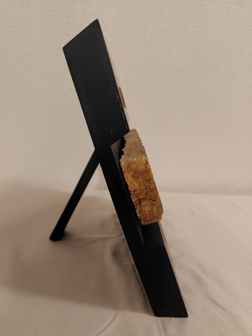 早稲田大学　大隈記念講堂　外壁タイル　1927年建設