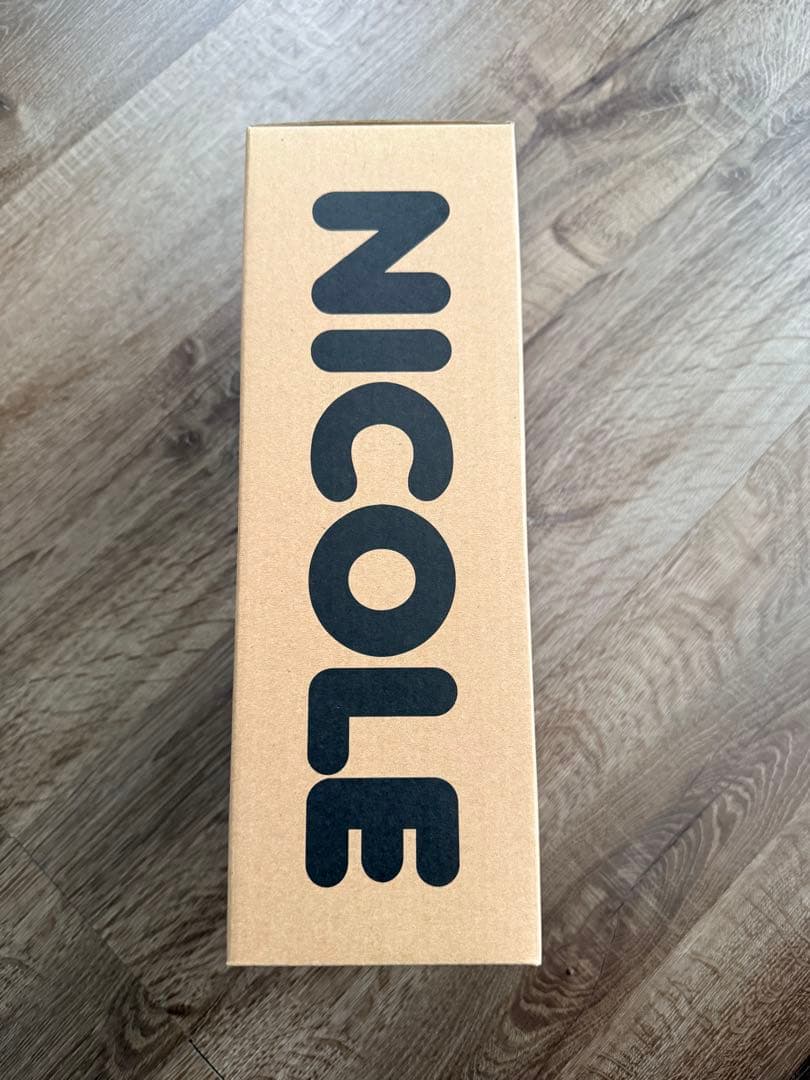 BUMP OF CHICKEN ニコル フィギュア