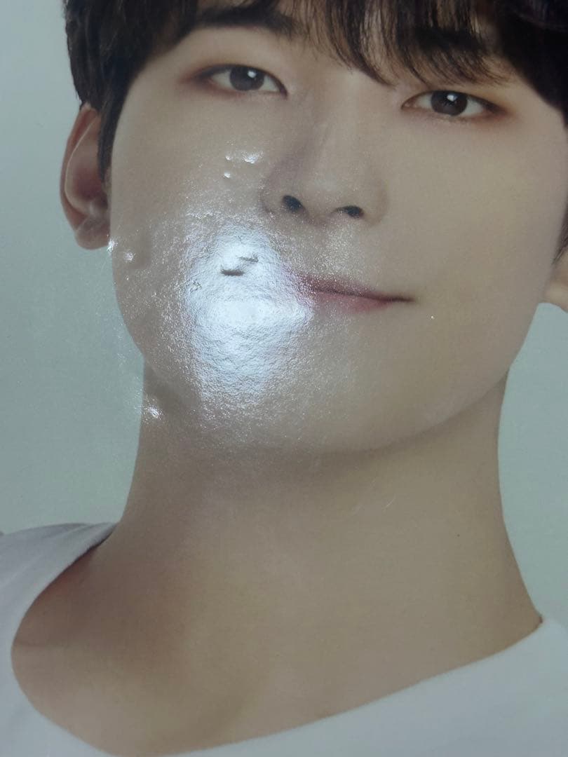 SEVENTEEN WONWOO ウォヌ ケレン うちわ セブチ ピケット