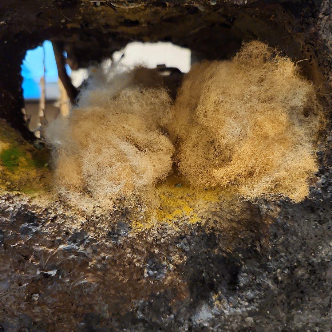 1/24 　ラリー　ジオラマ