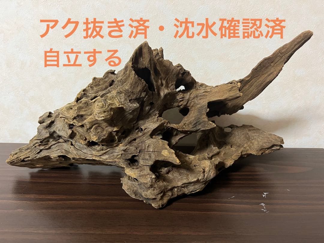 (XM-202) 流木　マシンガンウッド　アクアリウム沈水確認済　ブランチウッド