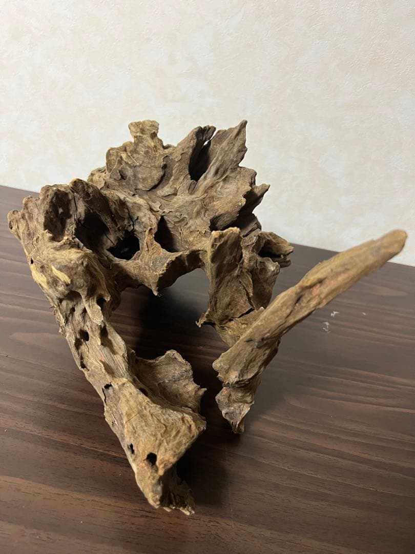 (XM-202) 流木　マシンガンウッド　アクアリウム沈水確認済　ブランチウッド