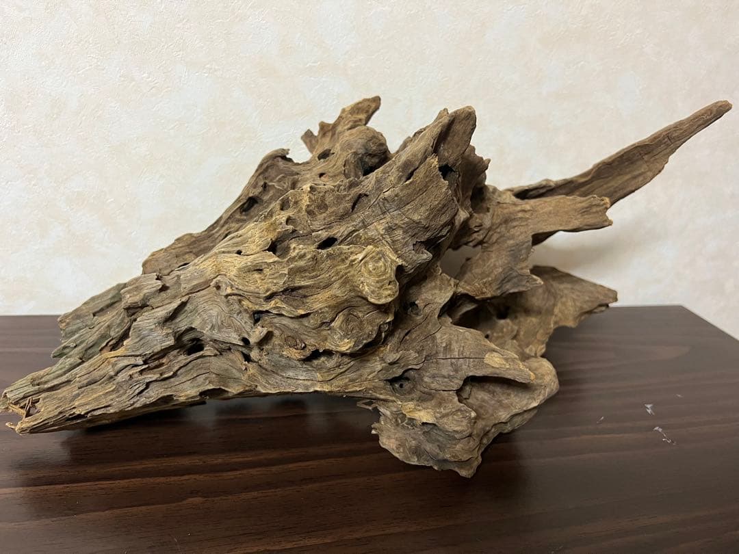 (XM-202) 流木　マシンガンウッド　アクアリウム沈水確認済　ブランチウッド