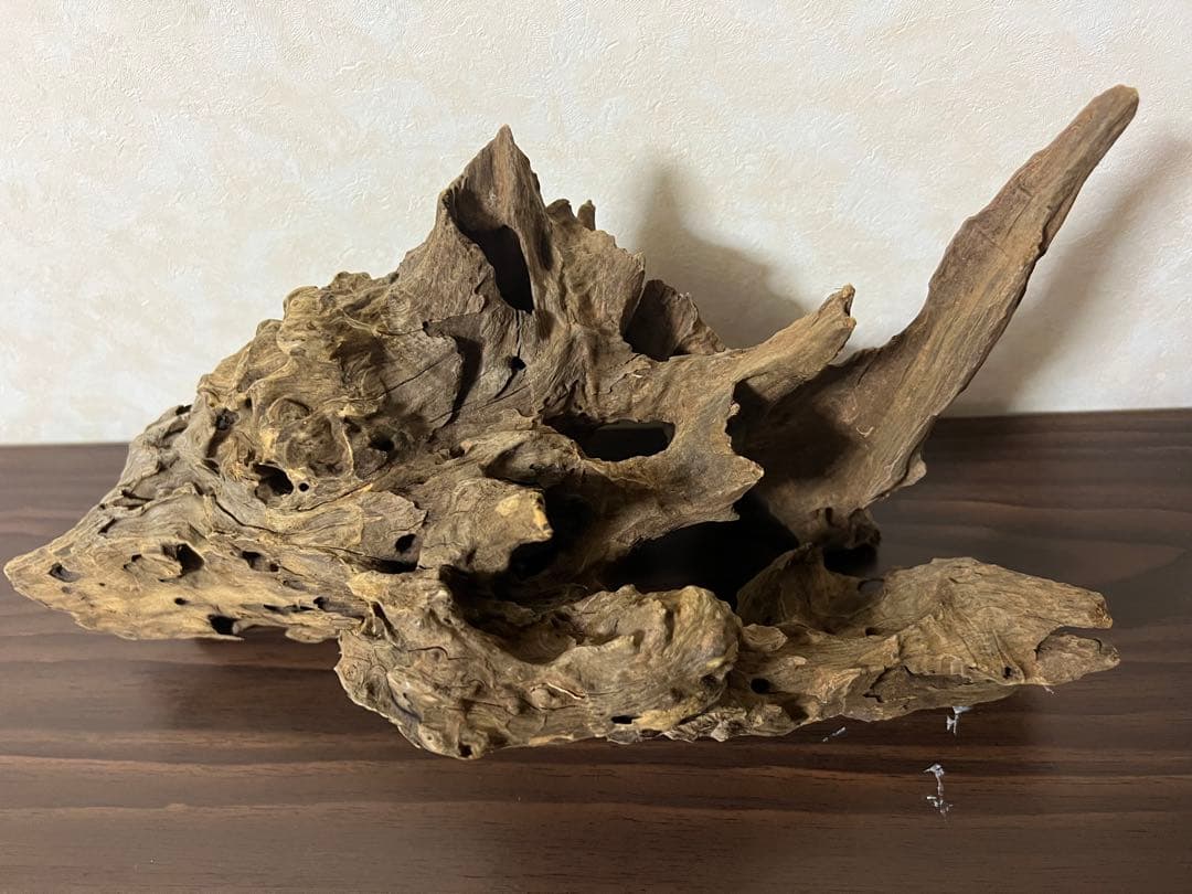 (XM-202) 流木　マシンガンウッド　アクアリウム沈水確認済　ブランチウッド