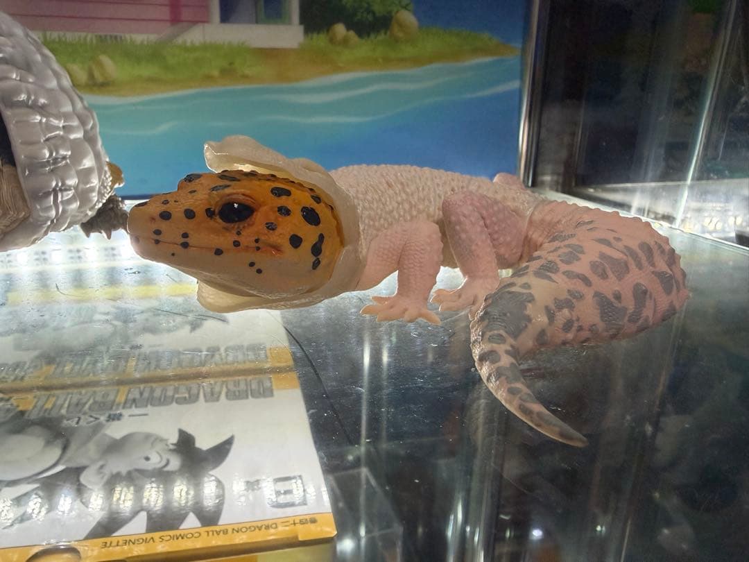 一番くじ 爬虫類＆両生類～Tiny Friends～vol.1.2 コンプリート