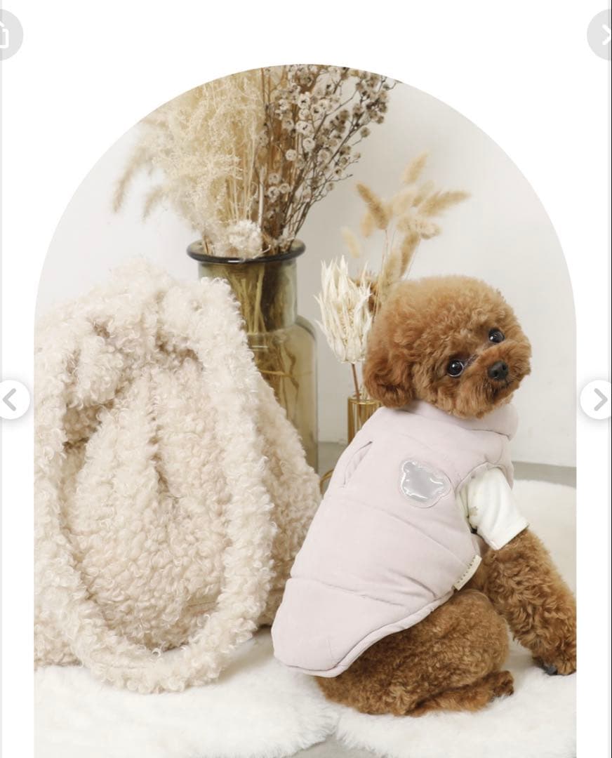 moncheriモンシェリ HAPPY BAG 2026！！ダウン M 福袋