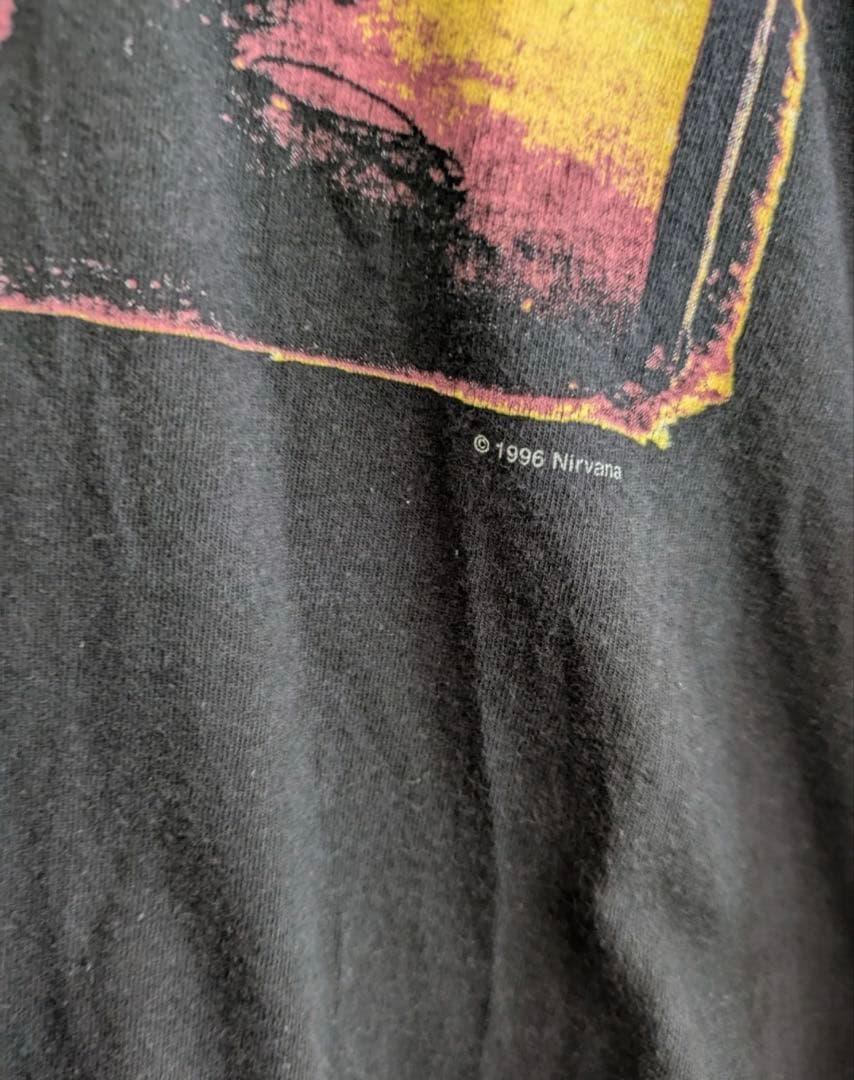 90s NIRVANA FROM THE MUDDY BANKS Tシャツ