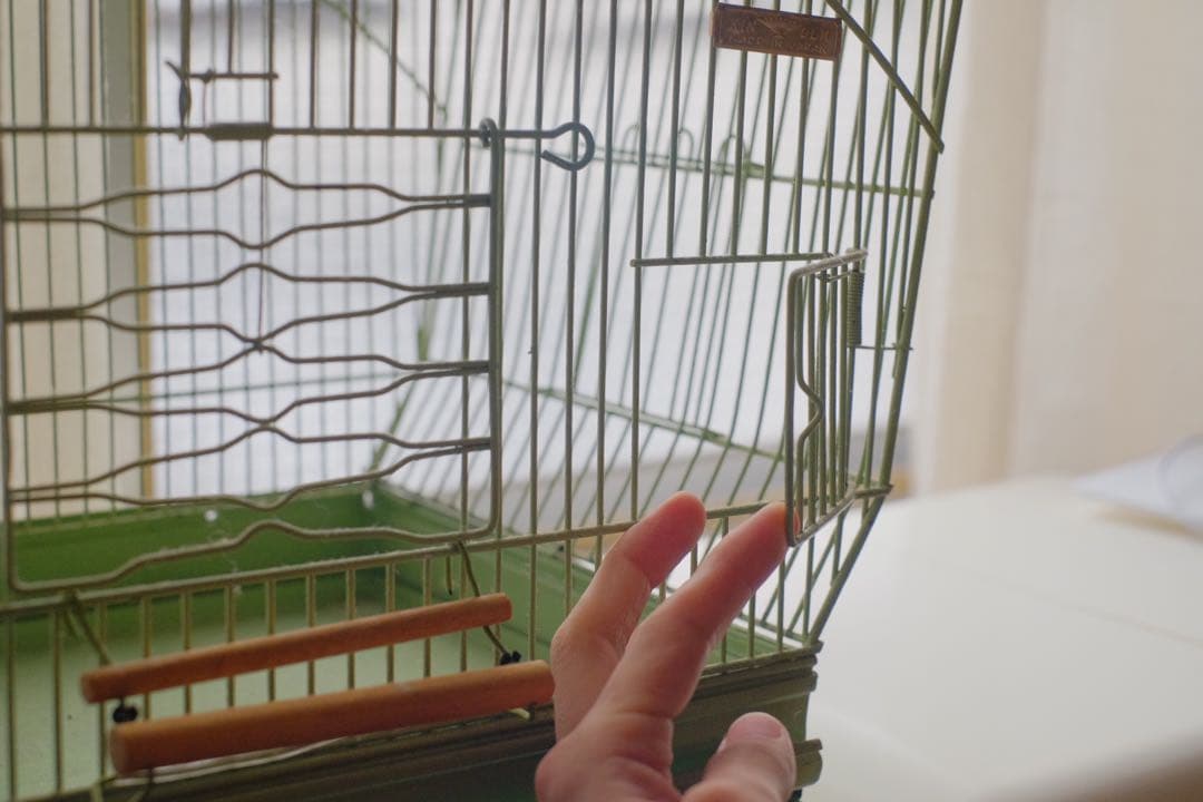 アンティーク　鳥かご　バードケージ　kinsen ビンテージ　文鳥　小鳥　琴線