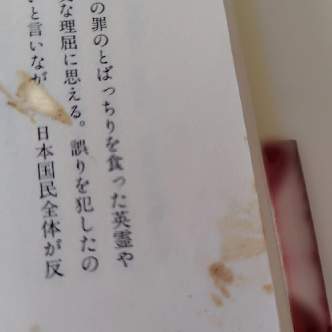 高市早苗のぶっとび永田町日記