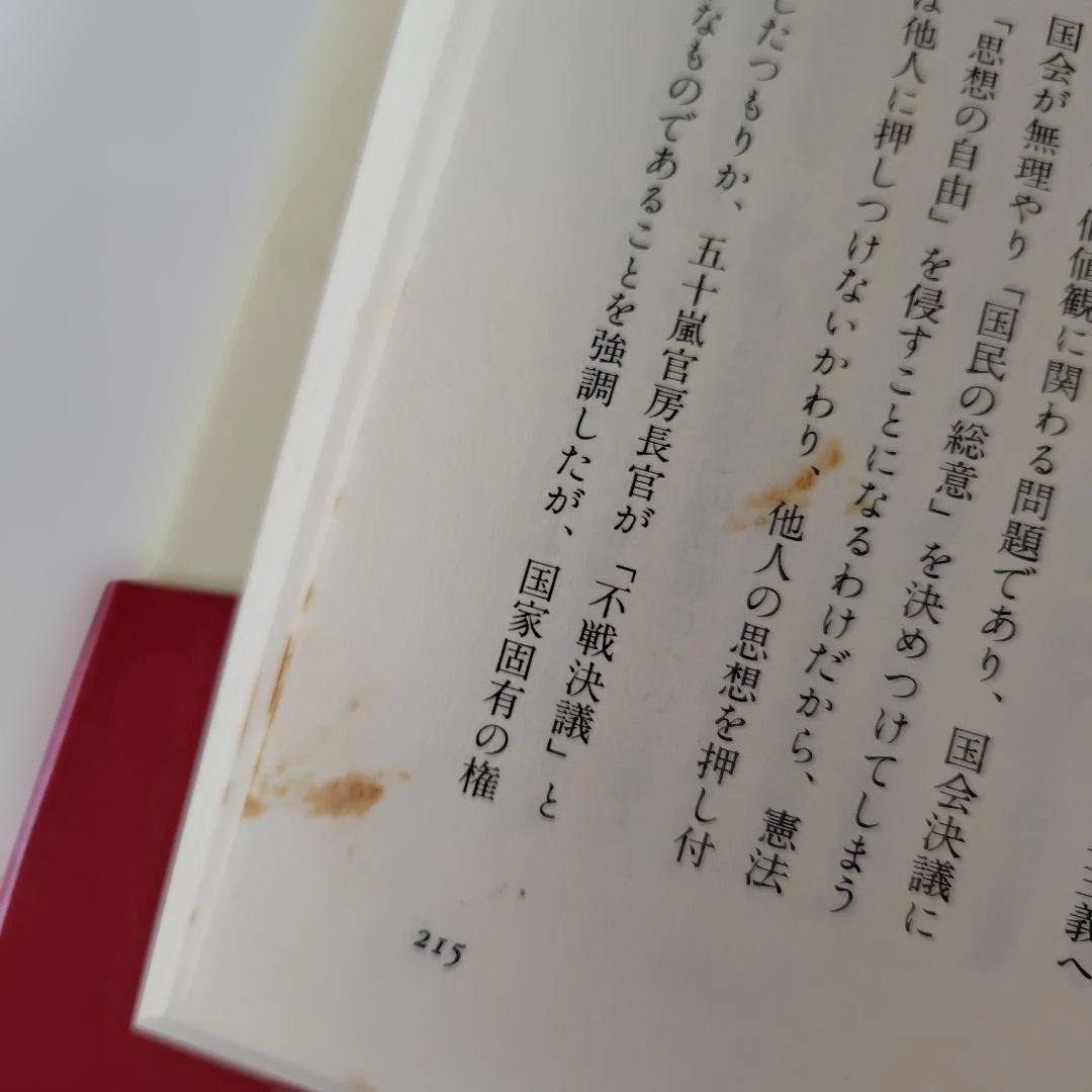 高市早苗のぶっとび永田町日記