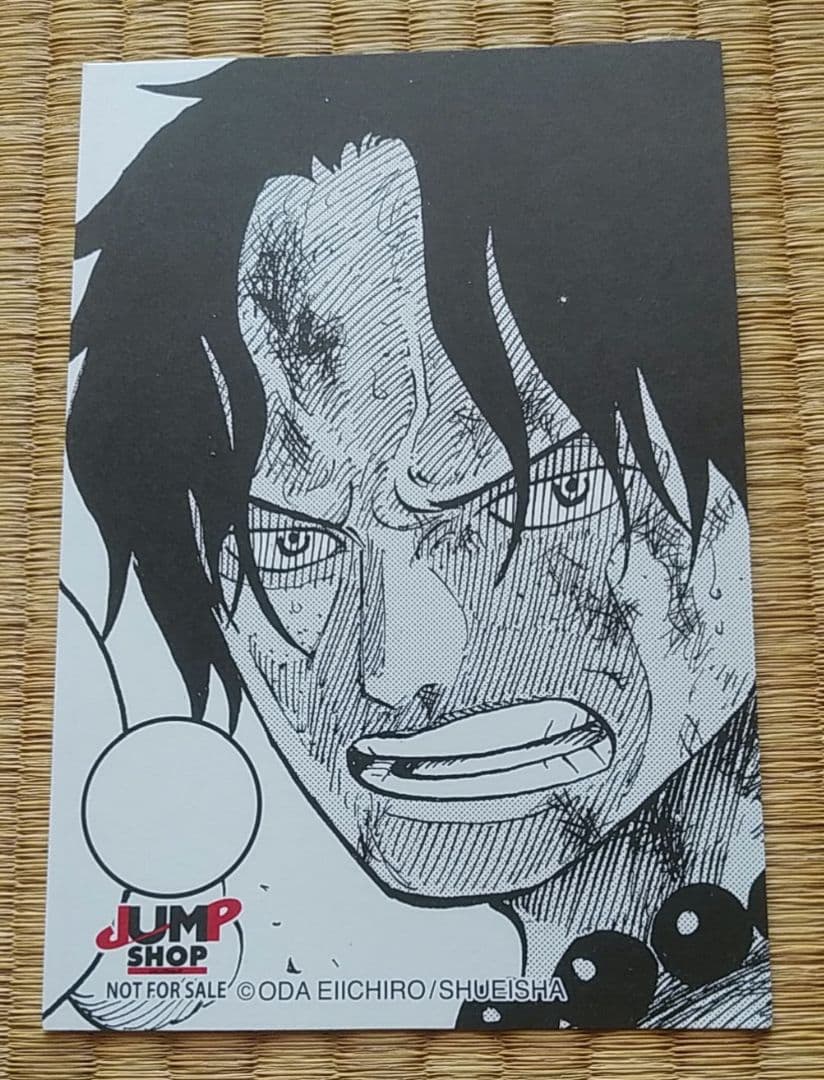 【匿名配送】ワンピース エース ジャンプショップ 特典 イラストカード