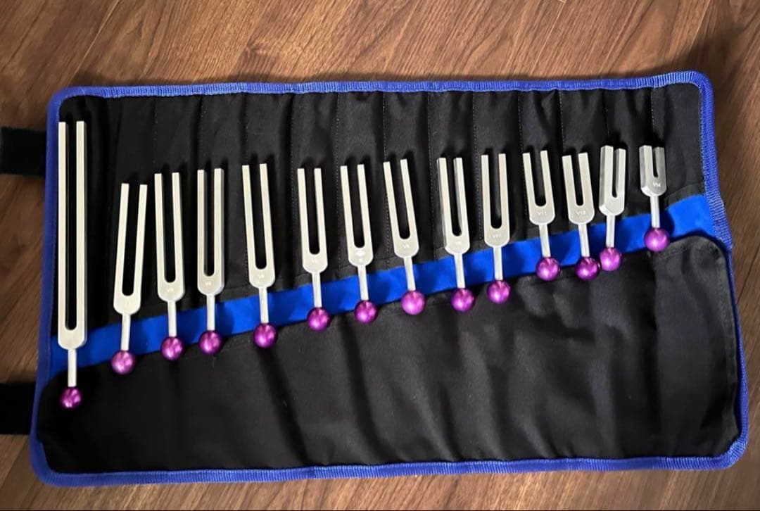 アランセールス　音叉