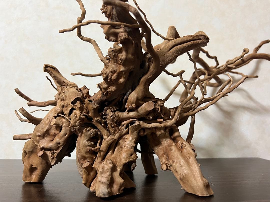 11206 ブランチウッド　流木　アクアリウム　沈水確認済