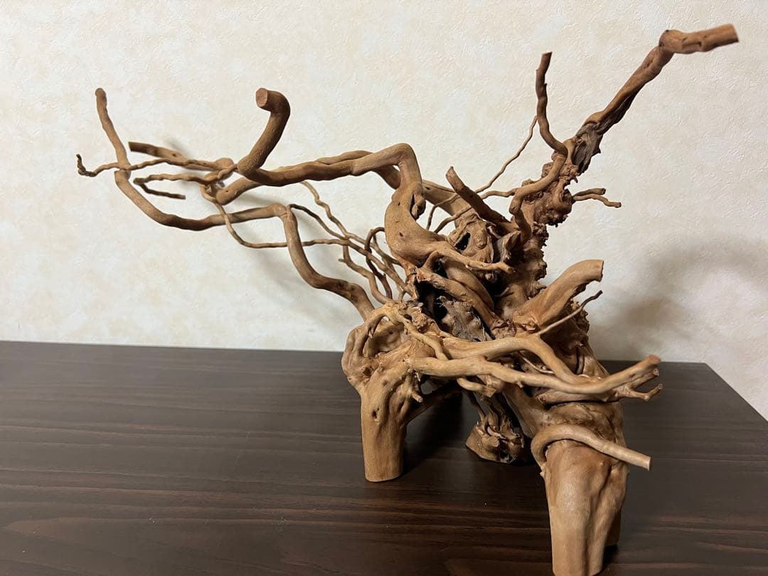 11206 ブランチウッド　流木　アクアリウム　沈水確認済