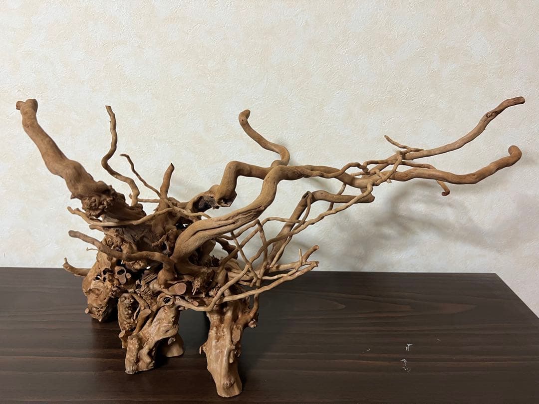 11206 ブランチウッド　流木　アクアリウム　沈水確認済