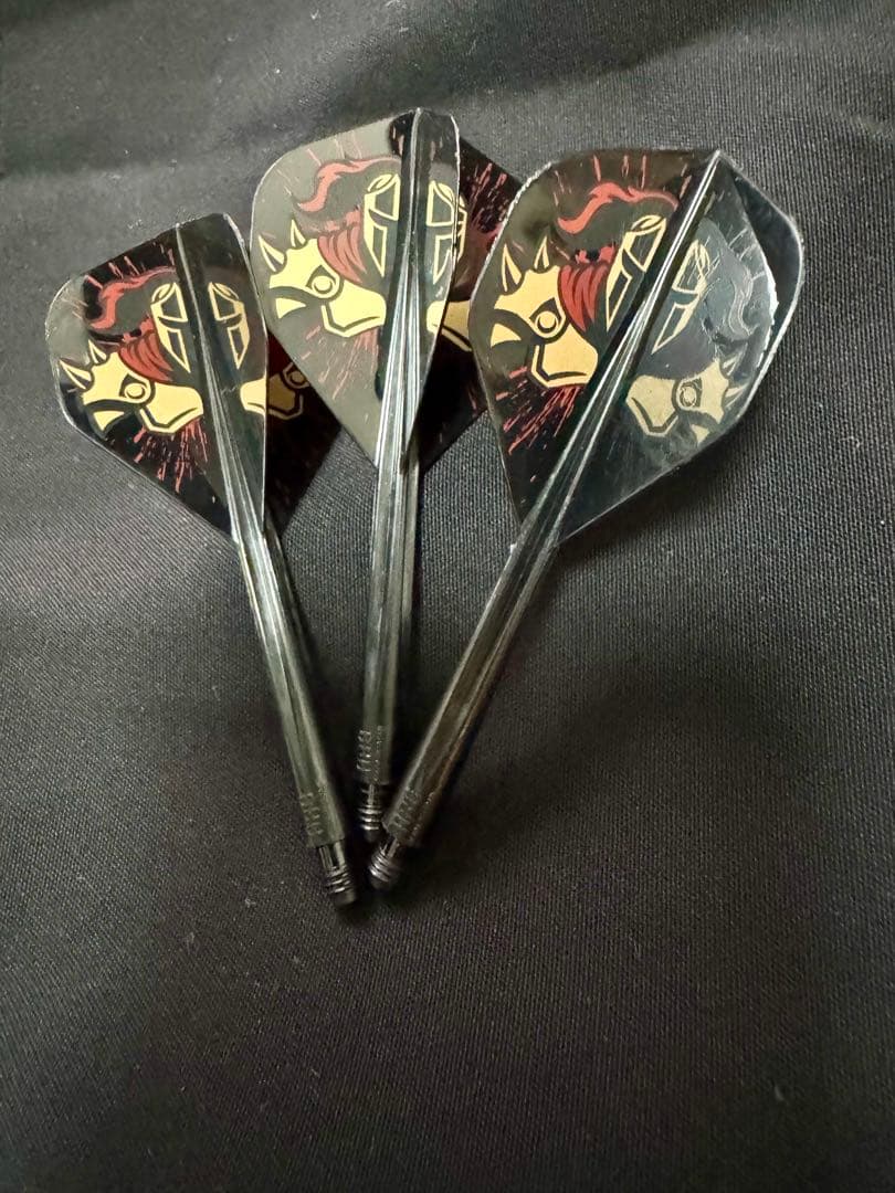 TRINIDAD ADRIAN TYPE2 ダーツセット