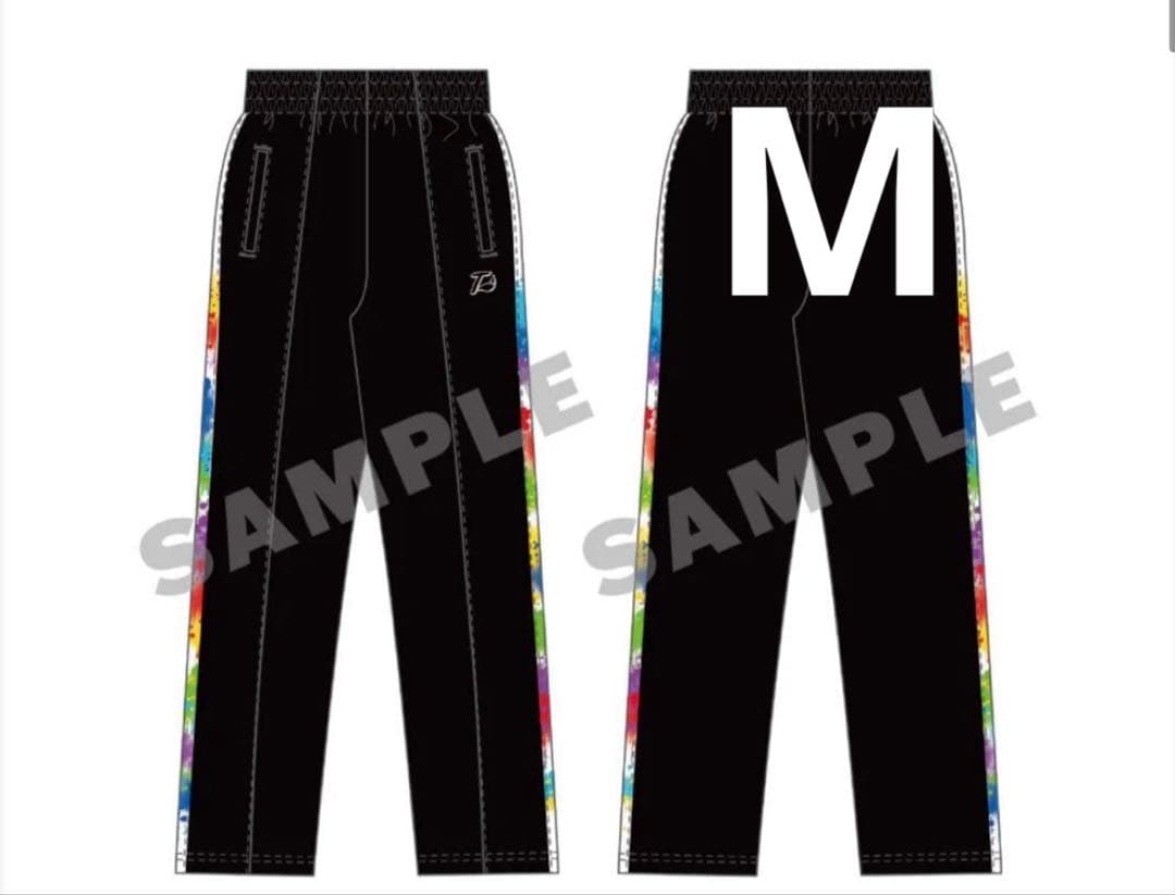 ワイテルズ 武道館 ジャージ Tシャツ