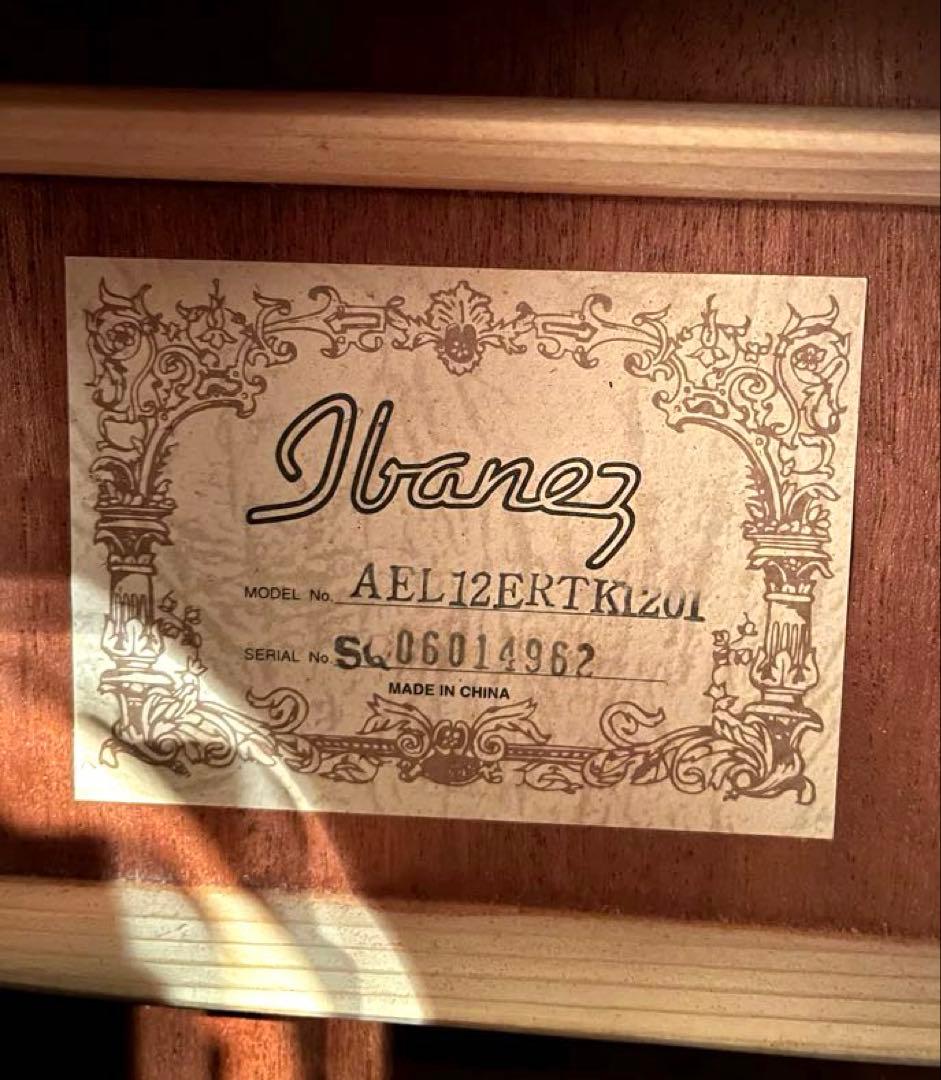 Ibanez AEL20E / AEL40SEジャンク　ケース付