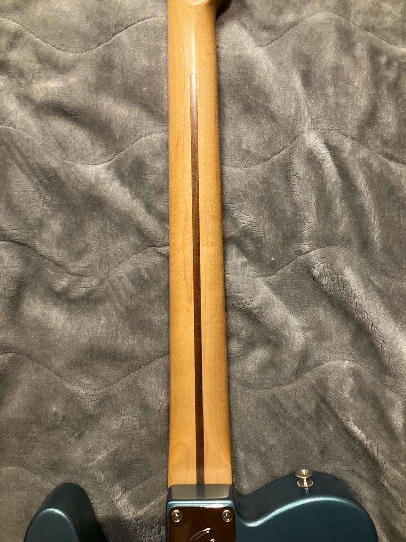 ギター Fender Player Telecaster MN TPL