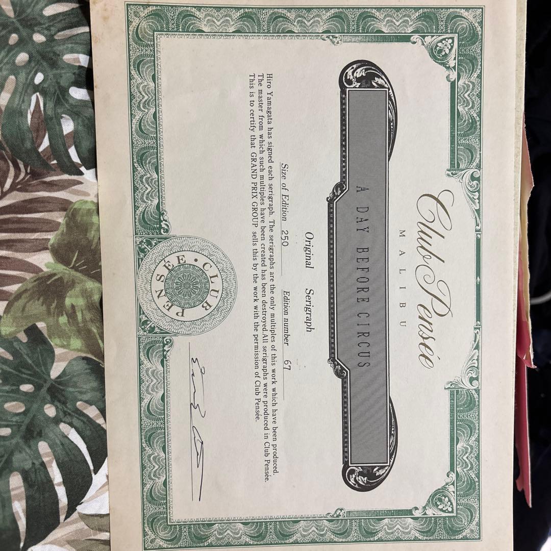 ヒロヤマガタ　シルクスクリーン 限定版 67/250