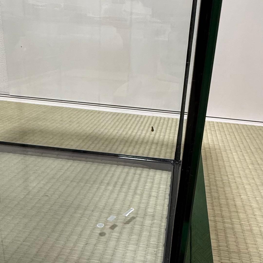 ①EXOTERRA 4545 ケージ グラステラリウム