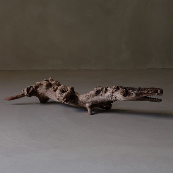瘤杢 ワニのオブジェ 流木 古材 木製 置物 アート 芸術 アンティーク 古道具