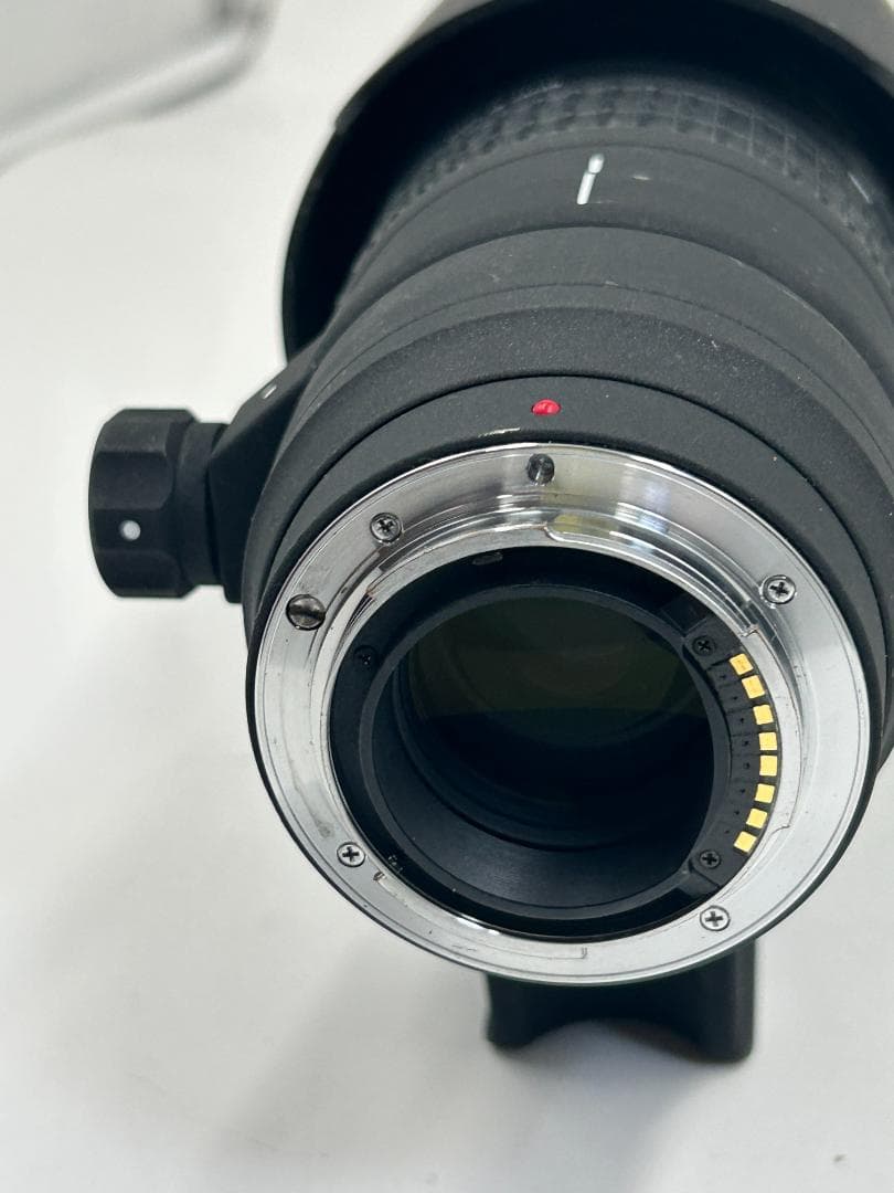 SIGMA 100-300mm F4 APO EX IF HSM 超望遠ズーム