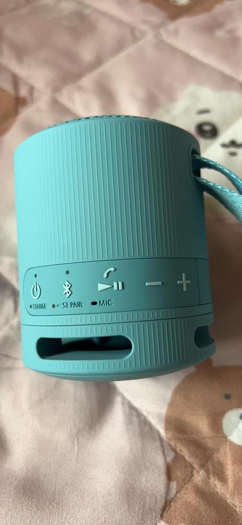 ソニー(SONY) ワイヤレススピーカー SRS-XB100:クリアな と重低m