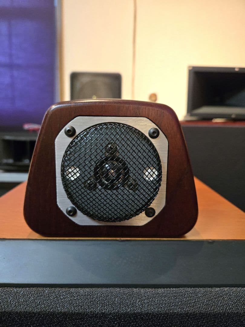 CORAL HD-10スーパーツイ－ターペア　美品