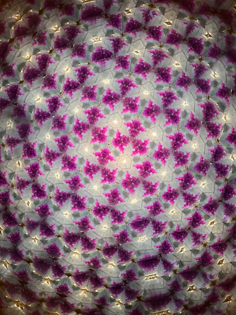 長いテレイドスコープ、24cm,ロイコヘンの作品