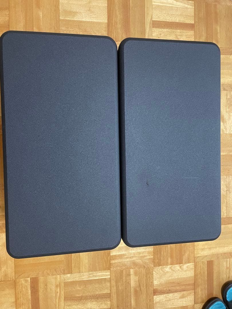 BOSE 301 AV MONITOR ボーズ 301