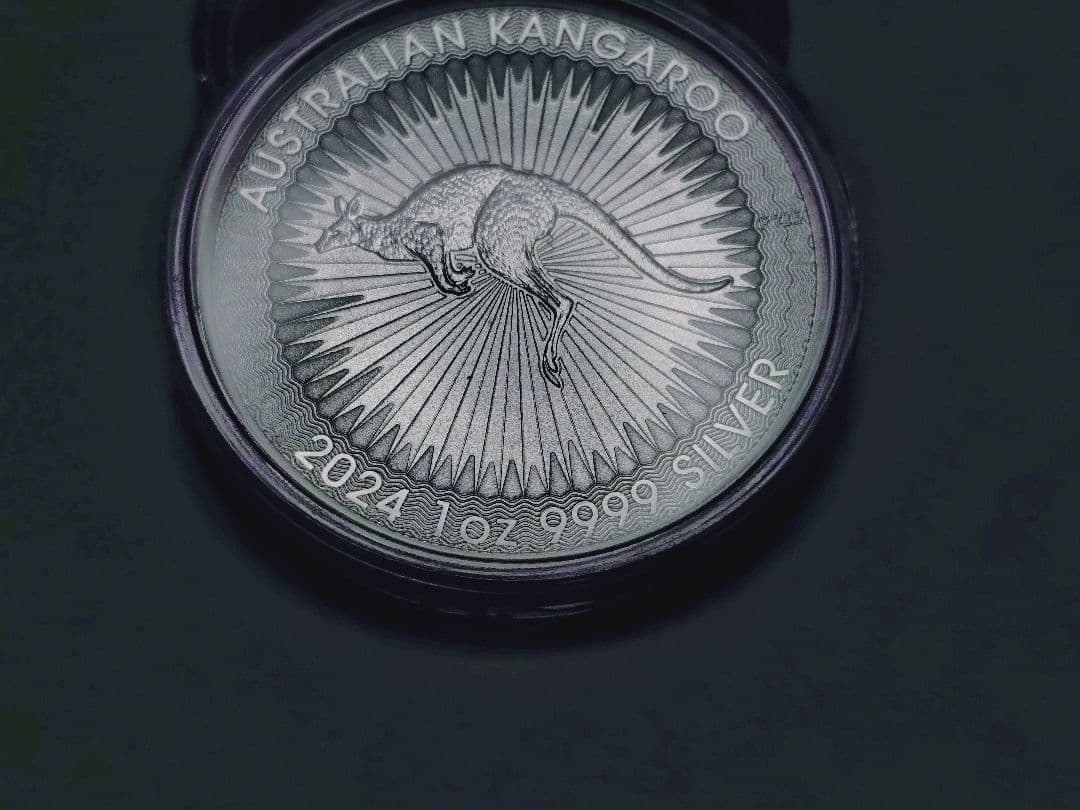 2024オーストラリアンカンガルー1オンス銀貨 ２枚セット　ケース付き