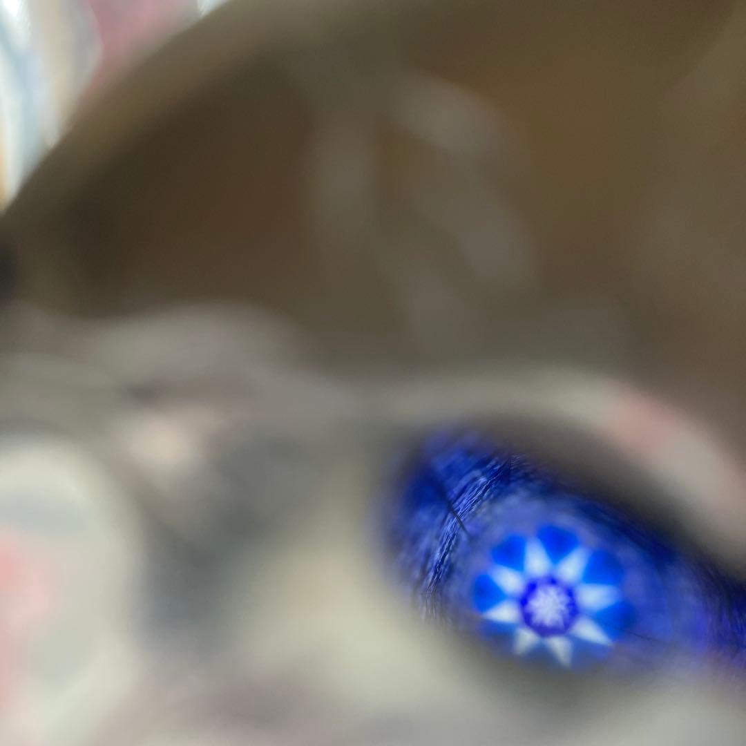 香蘭社　有田焼万華鏡　染錦更紗