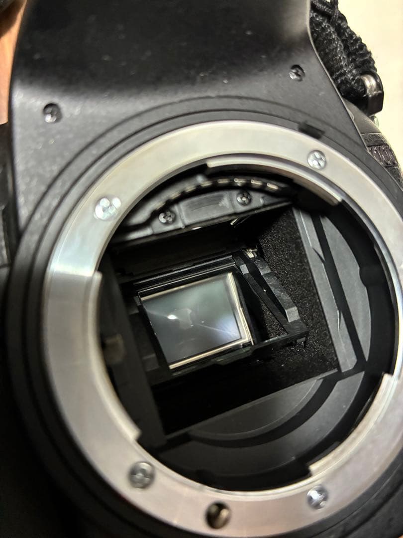 Nikon D7000 一眼レフ デジタルカメラ