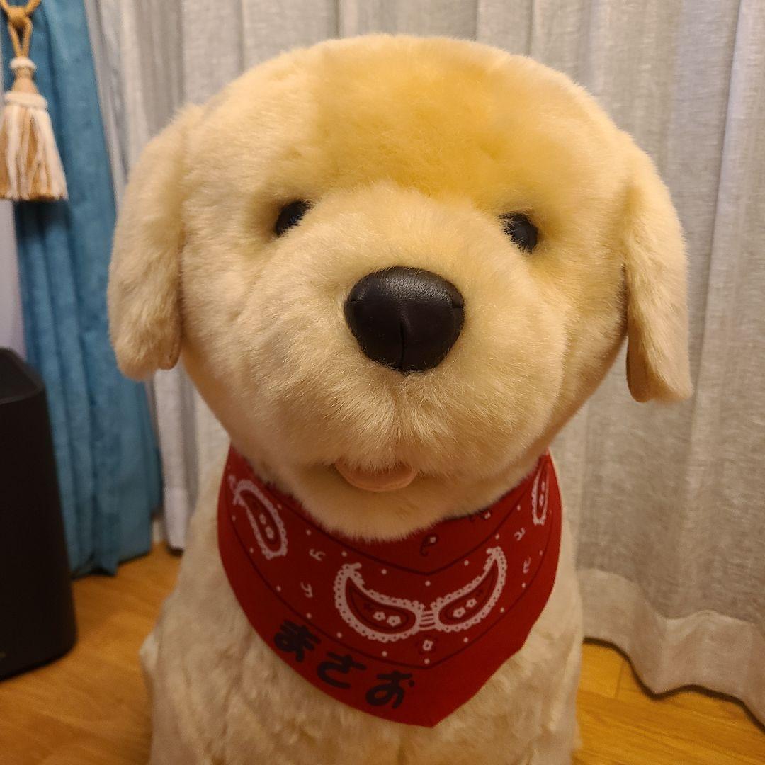 ポチたま　まさお君が行く　ペットの旅　LOVEまさお君が行く　ラブラドール