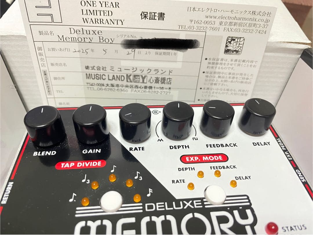 Electro-Harmonix Deluxe MemoryBoyアナログ