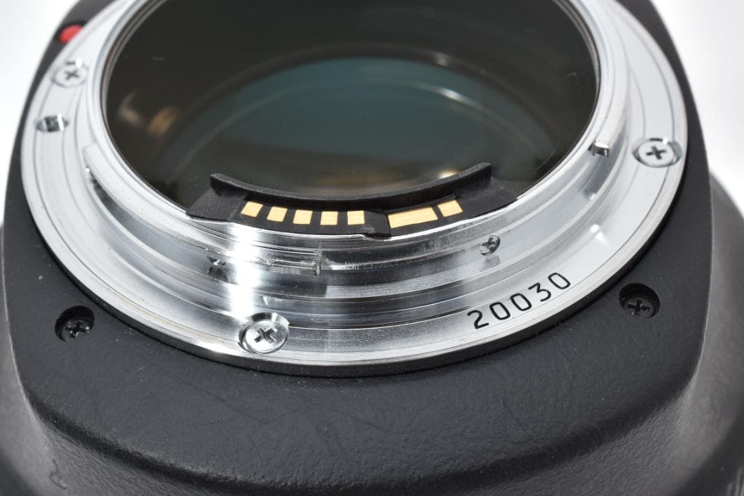 動確済 キャノン Canon EF 85mm f/1.2 L USM #209
