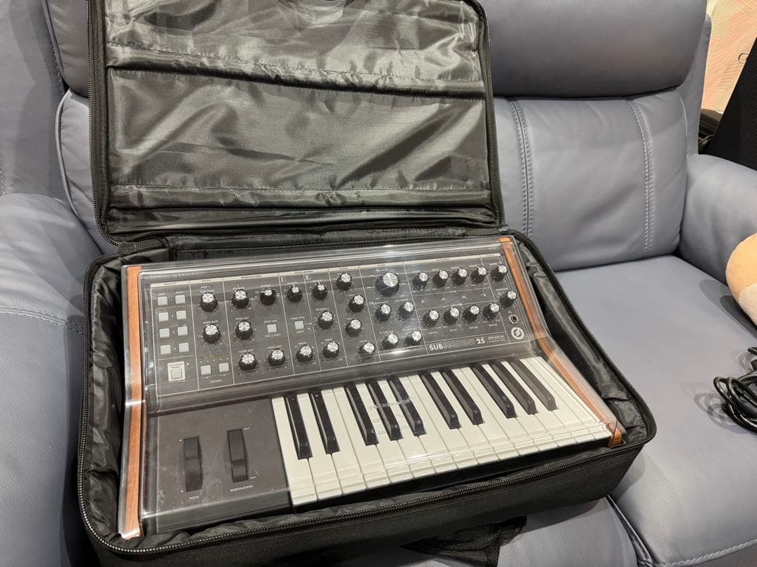 Moog Subsequent 25 デッキセイバーのカバー＋ケース付き