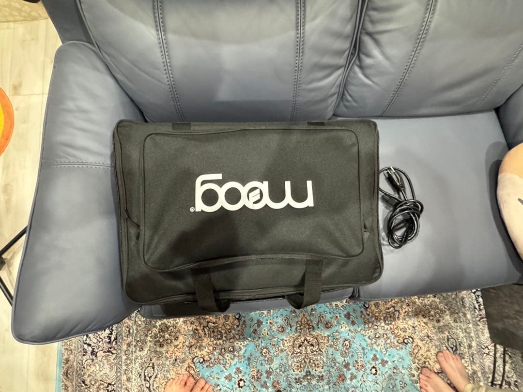 Moog Subsequent 25 デッキセイバーのカバー＋ケース付き