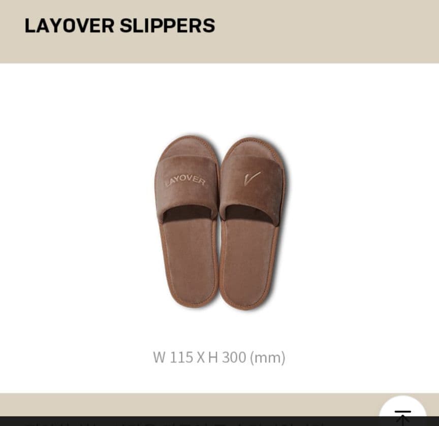 BTS公式 MERCHBOX＃17 Ｖ Layover