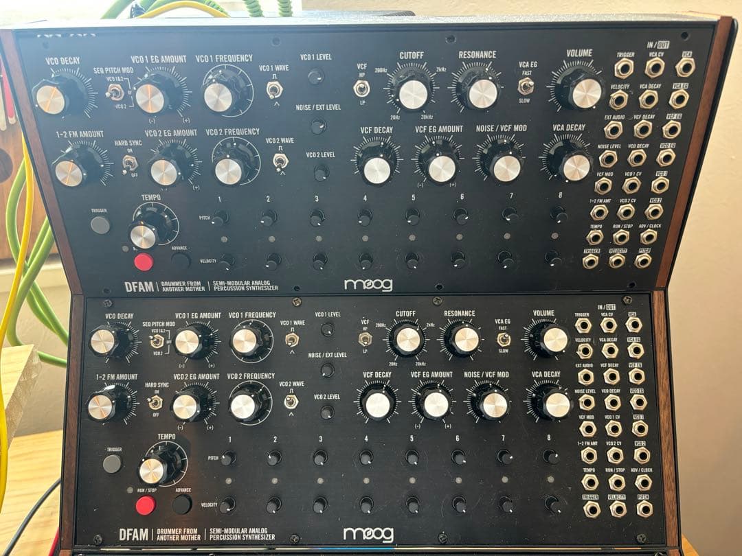お買得⭐︎Moog Dfamの2台セット