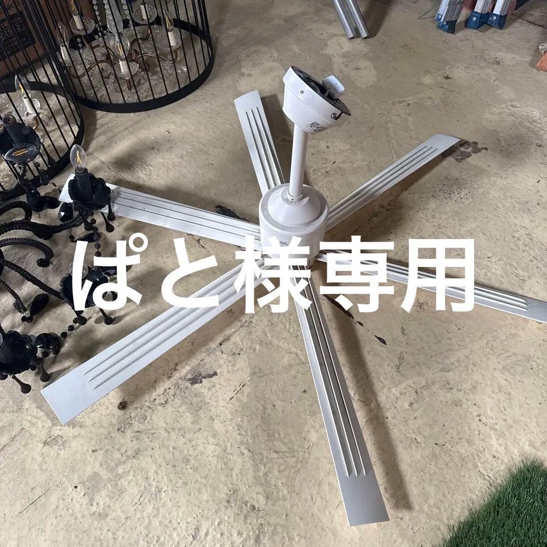 シーリングファン WF 239 5枚羽根 100V 14W