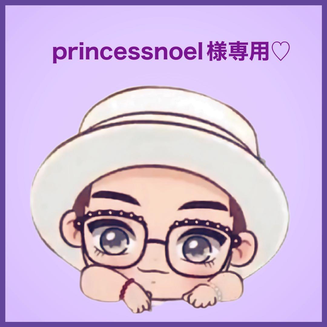 princessnoelです♡⃛